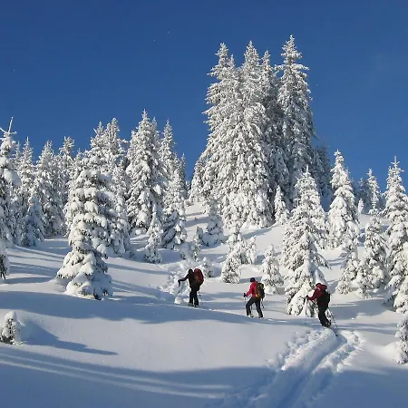Erzberg Alpin Resort.23 إيسينيرزير